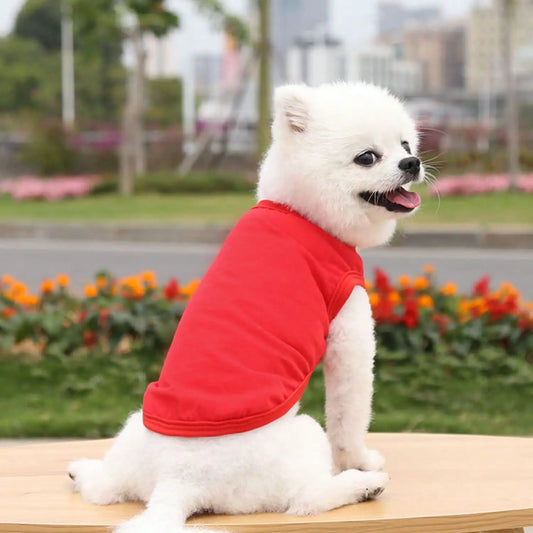 1pcs Pet Clothes for Small